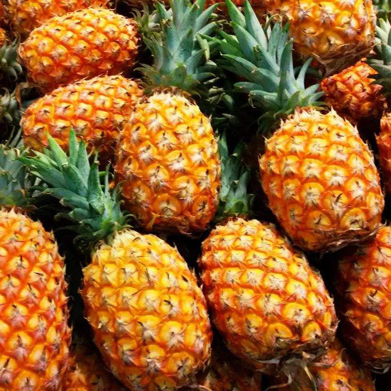 菠萝